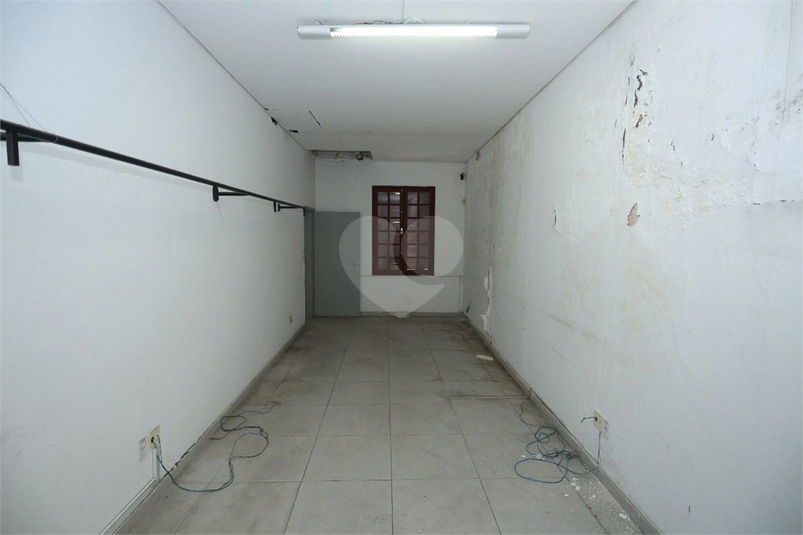 Foto REO1113264