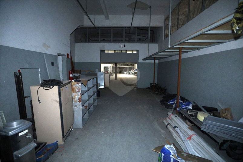 Foto REO1113264