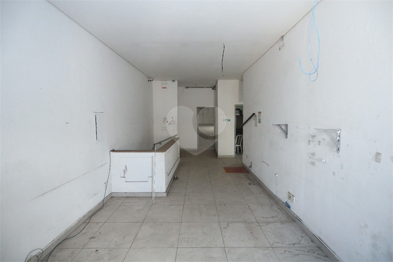 Foto REO1113264
