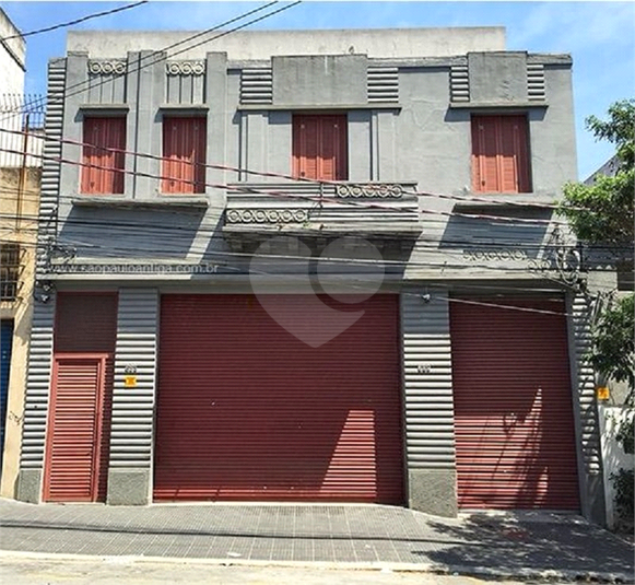 Foto REO1113264