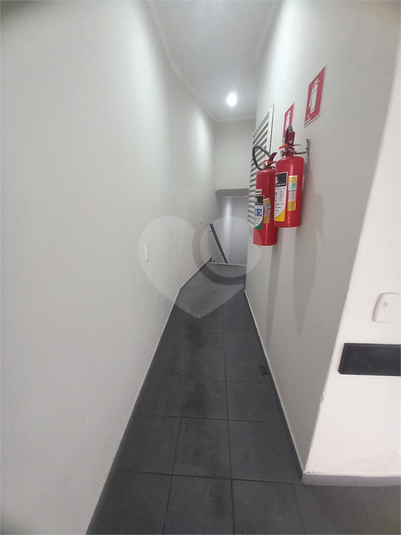 Foto REO1113265