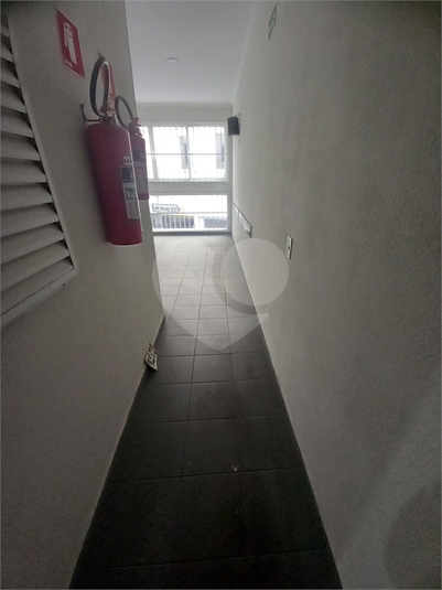Foto REO1113265