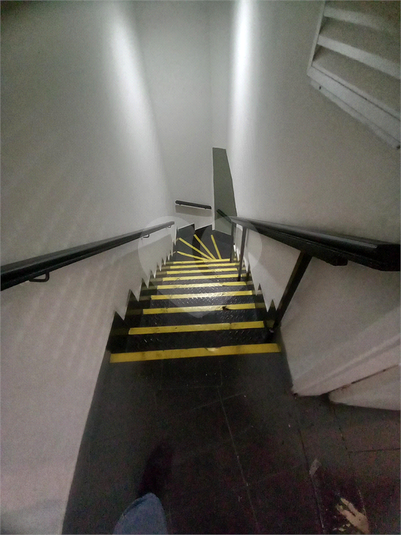 Foto REO1113265