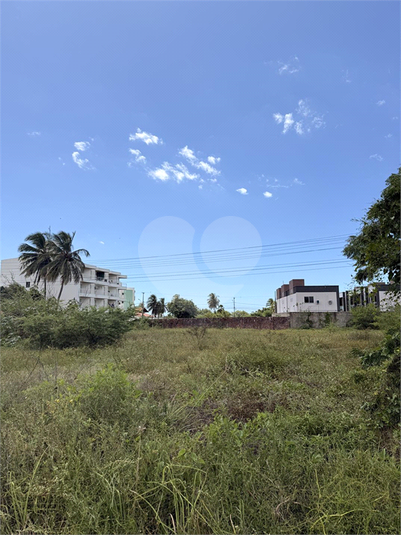 Foto REO1113266
