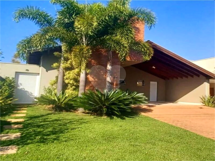 Foto REO1113267