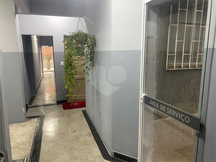 Foto REO1113268