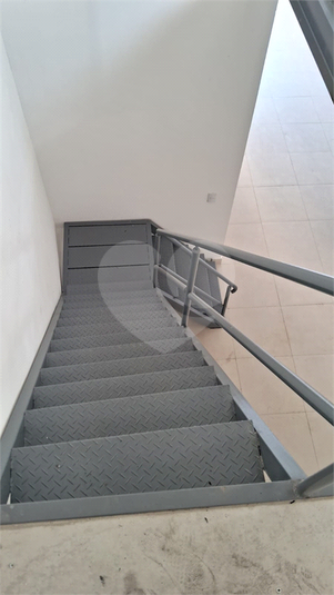 Foto REO1113272