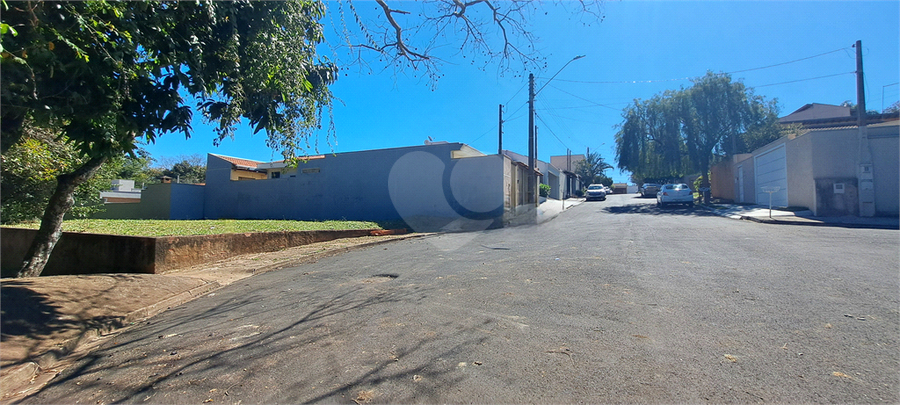 Foto REO1113275