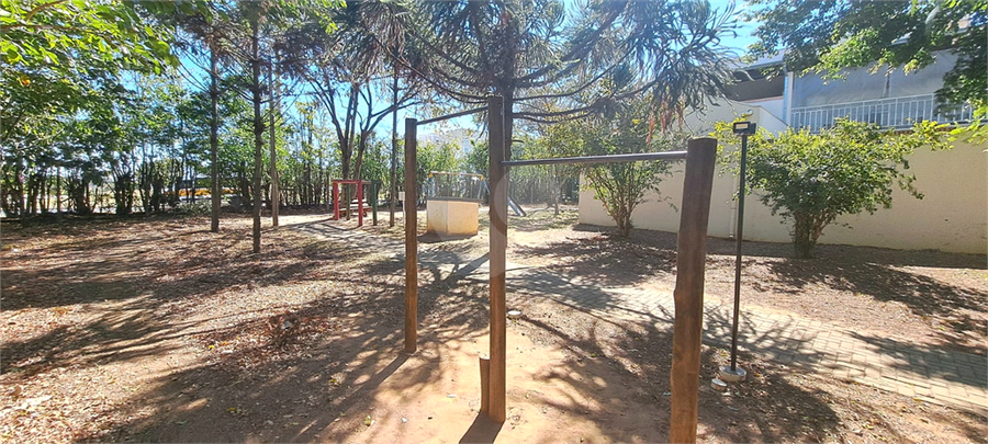 Foto REO1113275