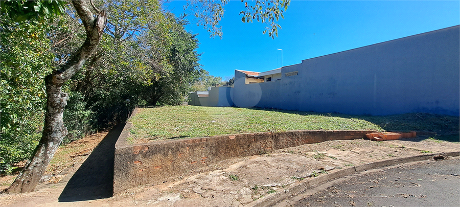 Foto REO1113275