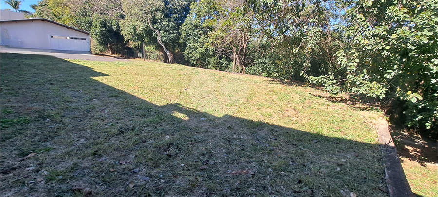 Foto REO1113275