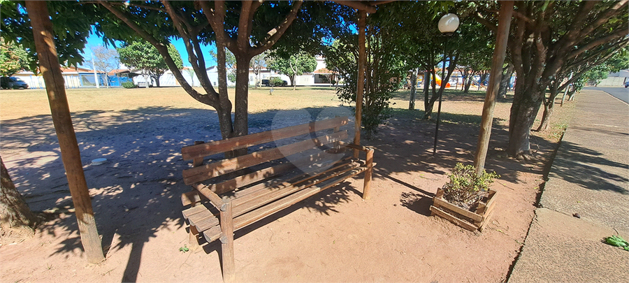 Foto REO1113275