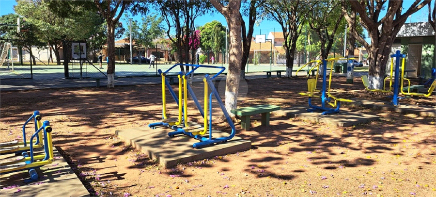 Foto REO1113275