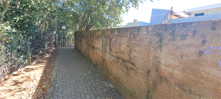 Foto REO1113275