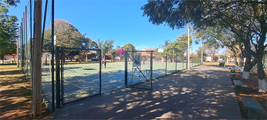 Foto REO1113275