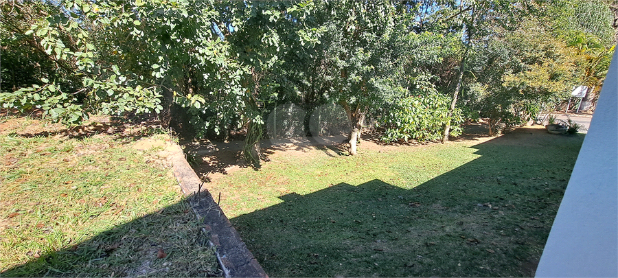 Foto REO1113275