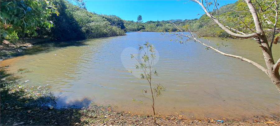 Foto REO1113275