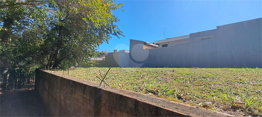 Foto REO1113275