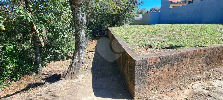 Foto REO1113275