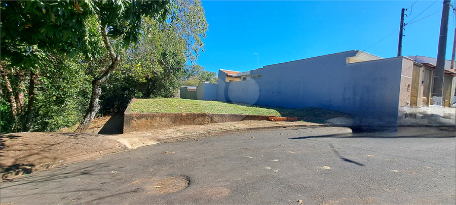 Foto REO1113275
