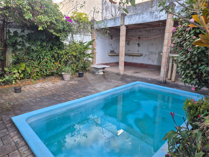 Foto REO1113279