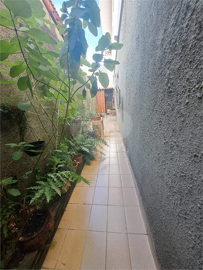 Foto REO1113282