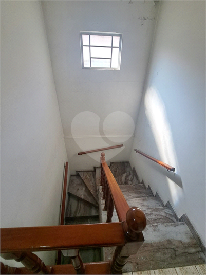 Foto REO1113282
