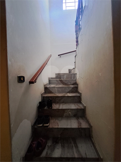 Foto REO1113282