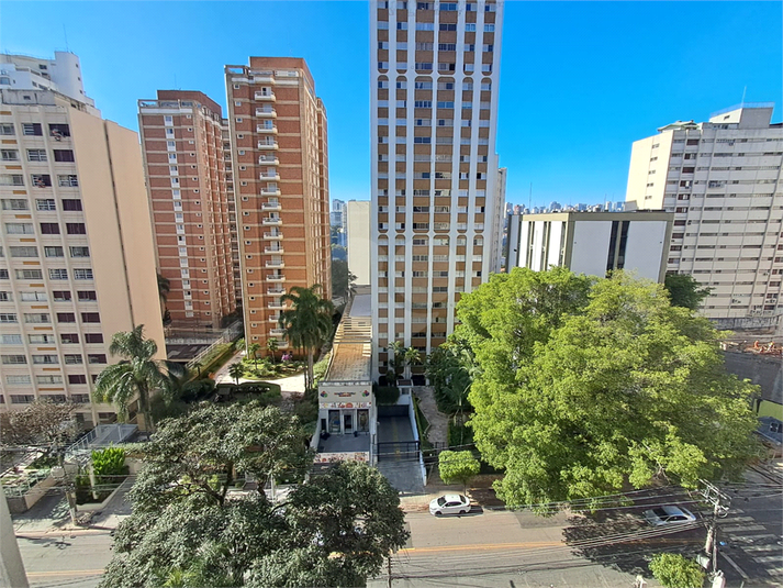 Foto REO1113286