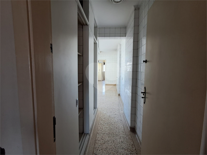 Foto REO1113286