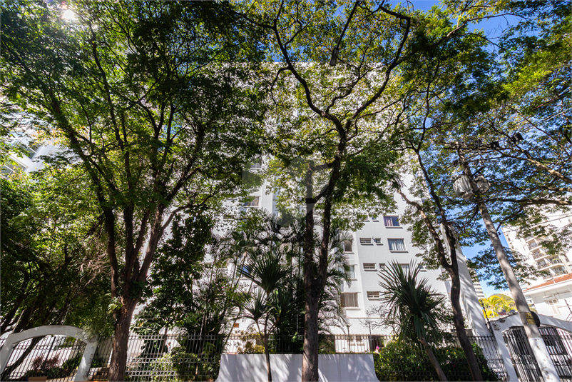Foto REO1113287