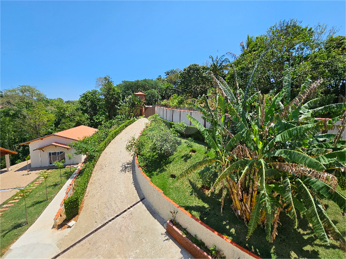 Foto REO1113288