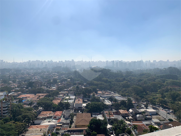 Foto REO1113291