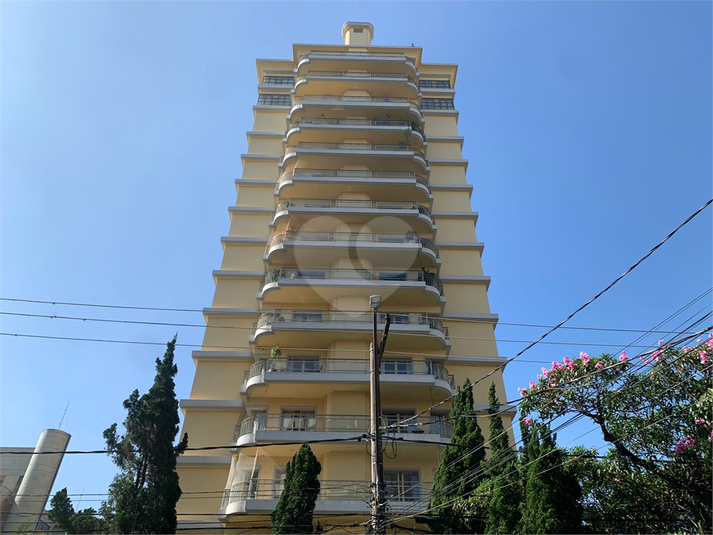 Foto REO1113291