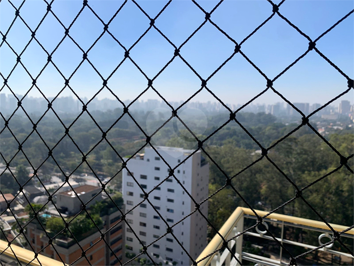 Foto REO1113291