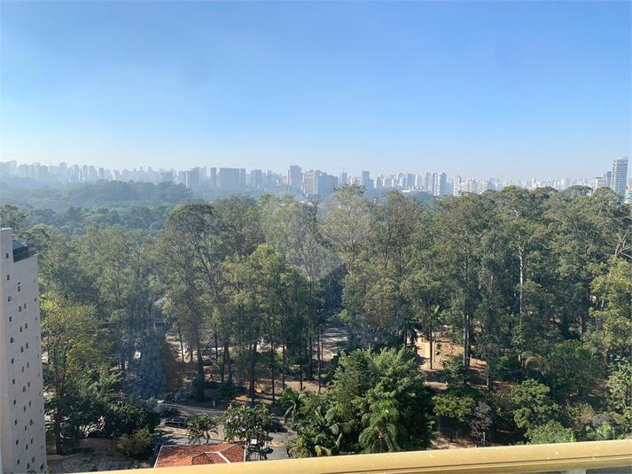 Foto REO1113291