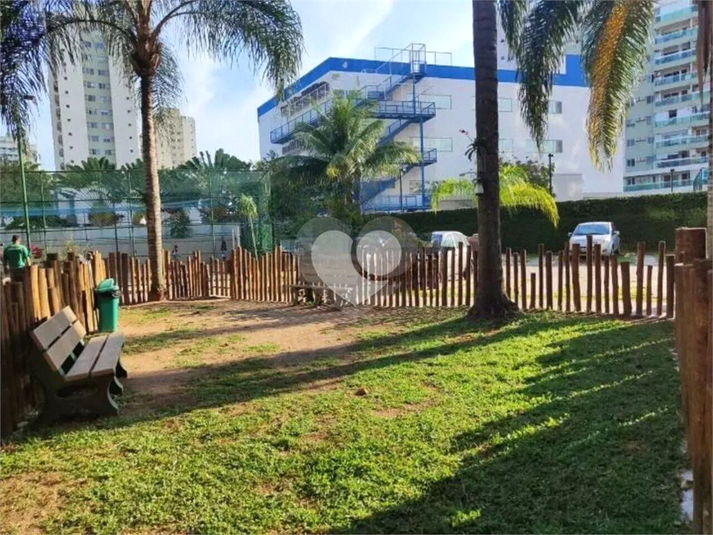 Foto REO1113297