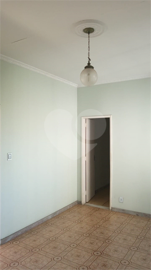 Foto REO1113298