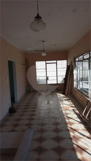 Foto REO1113298