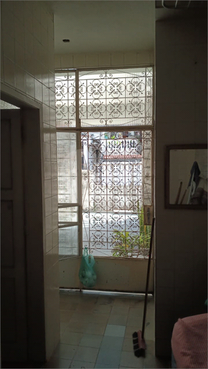 Foto REO1113298