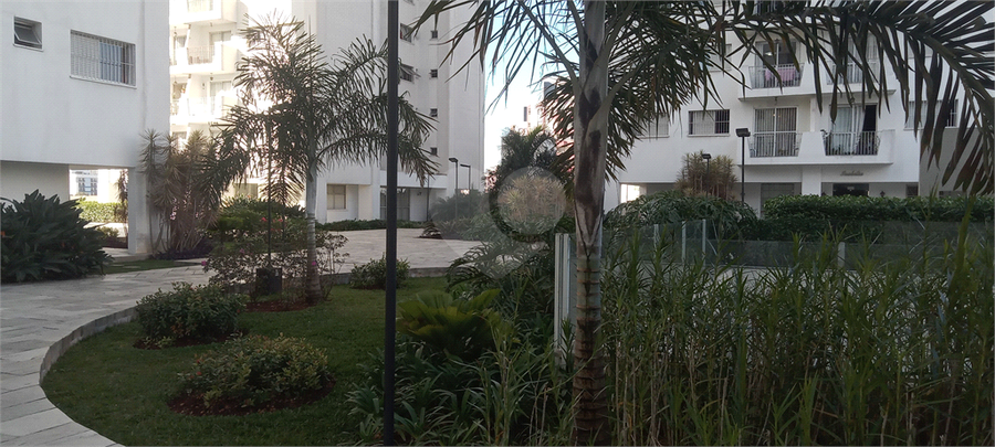 Foto REO1113301
