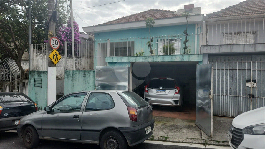 Foto REO1113309