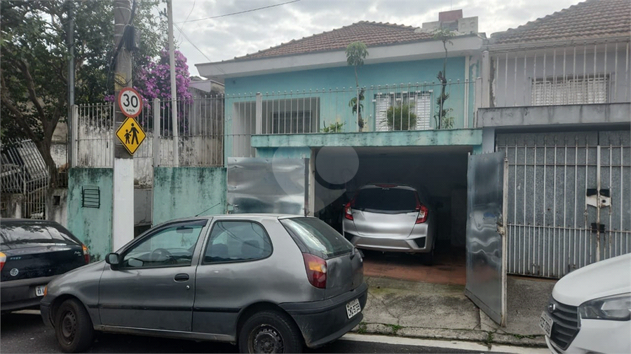 Foto REO1113309