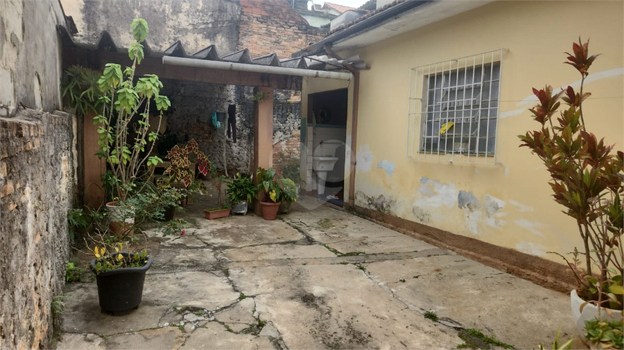 Foto REO1113309