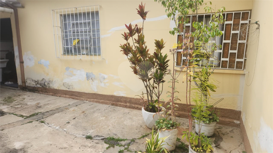 Foto REO1113309