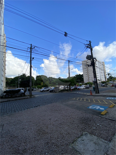 Foto REO1113328