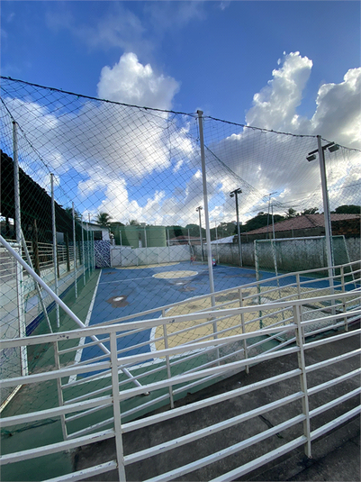 Foto REO1113328