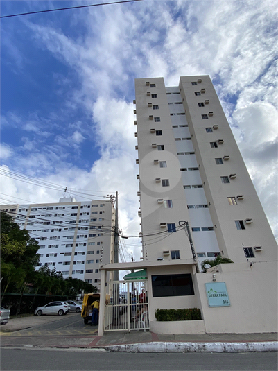 Foto REO1113328