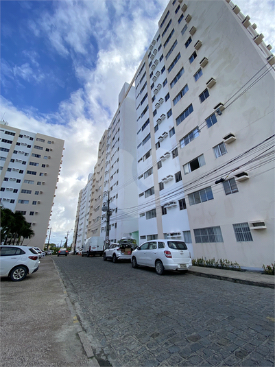 Foto REO1113328