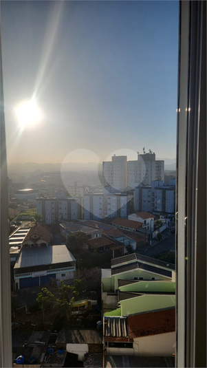 Foto REO1113331